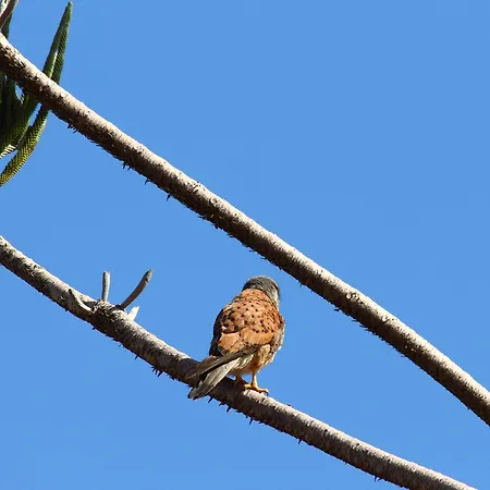 아파트호텔 Bay 카니코