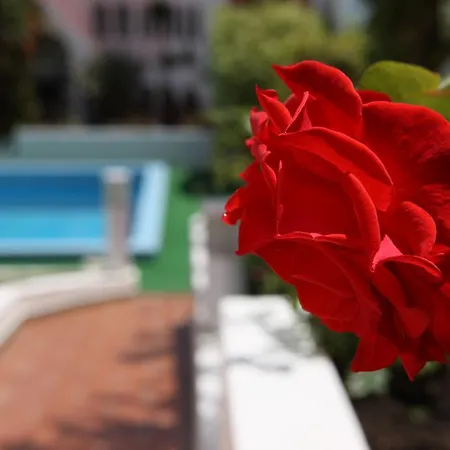 Bay 4* Canico (Madeira)