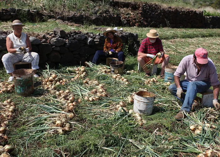 肯尼科湾公寓酒店