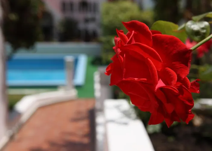 肯尼科湾公寓酒店 3* 卡尼索